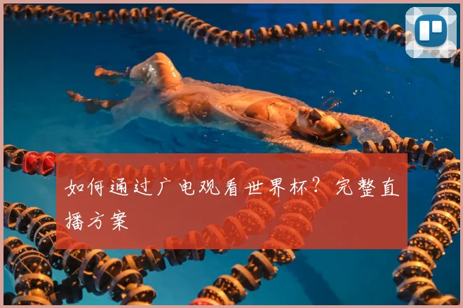 如何通过广电观看世界杯?完整直播方案