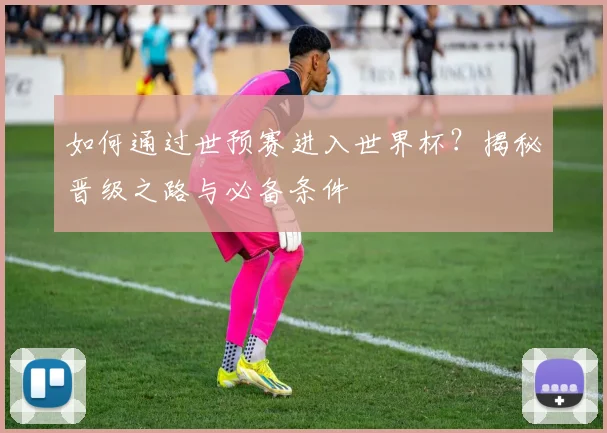 如何通过世预赛进入世界杯?揭秘晋级之路与必备条件