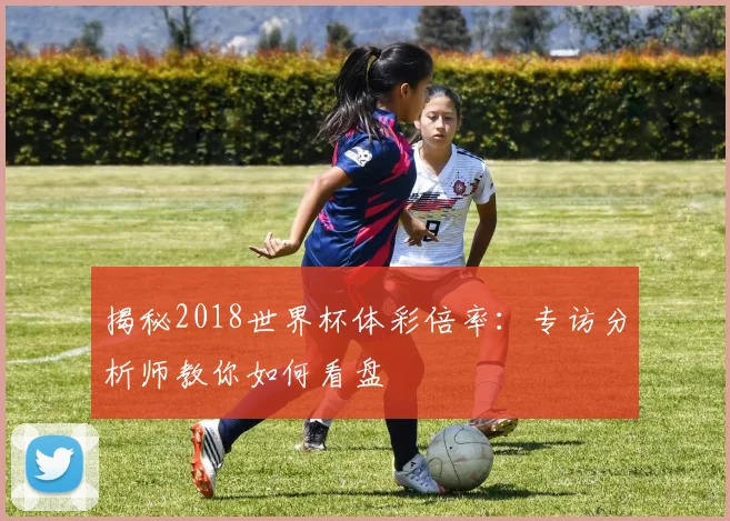 揭秘2018世界杯体彩倍率：专访分析师教你如何看盘