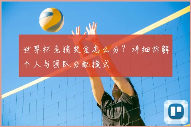 世界杯竞猜奖金怎么分?详细拆解个人与团队分配模式