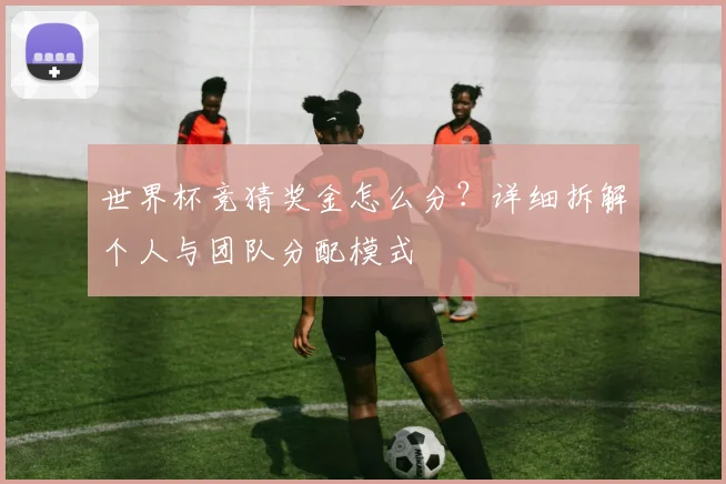 世界杯竞猜奖金怎么分？详细拆解个人与团队分配模式