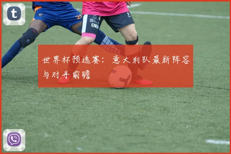 世界杯预选赛：意大利队最新阵容与对手前瞻