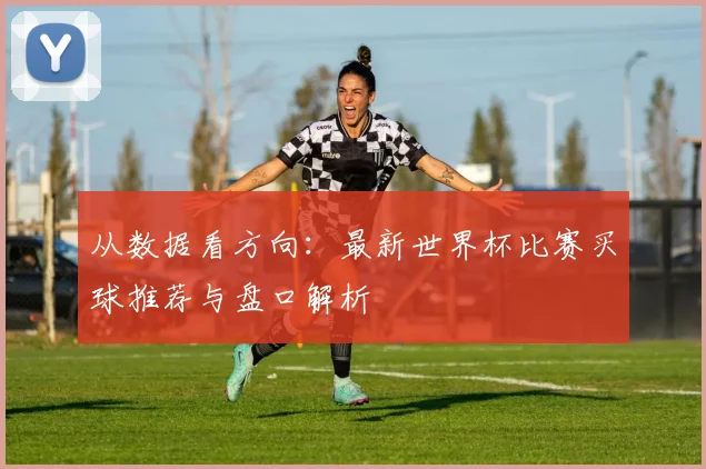 从数据看方向：最新世界杯比赛买球推荐与盘口解析