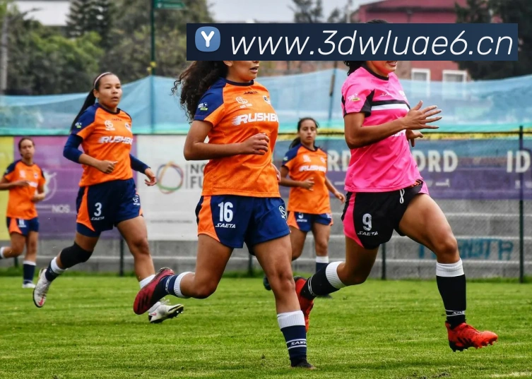 mk官网登录入口发展历程